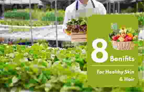 Eco Grove Solutions Canada